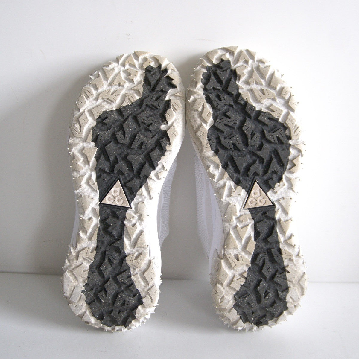 COMME des GARCONS HOMME PLUS x NIKE ACG Low Sneakers
