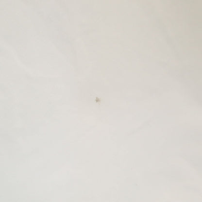 BOTTEGAVENETA Italian Long Sleeve Shirt White Size 42