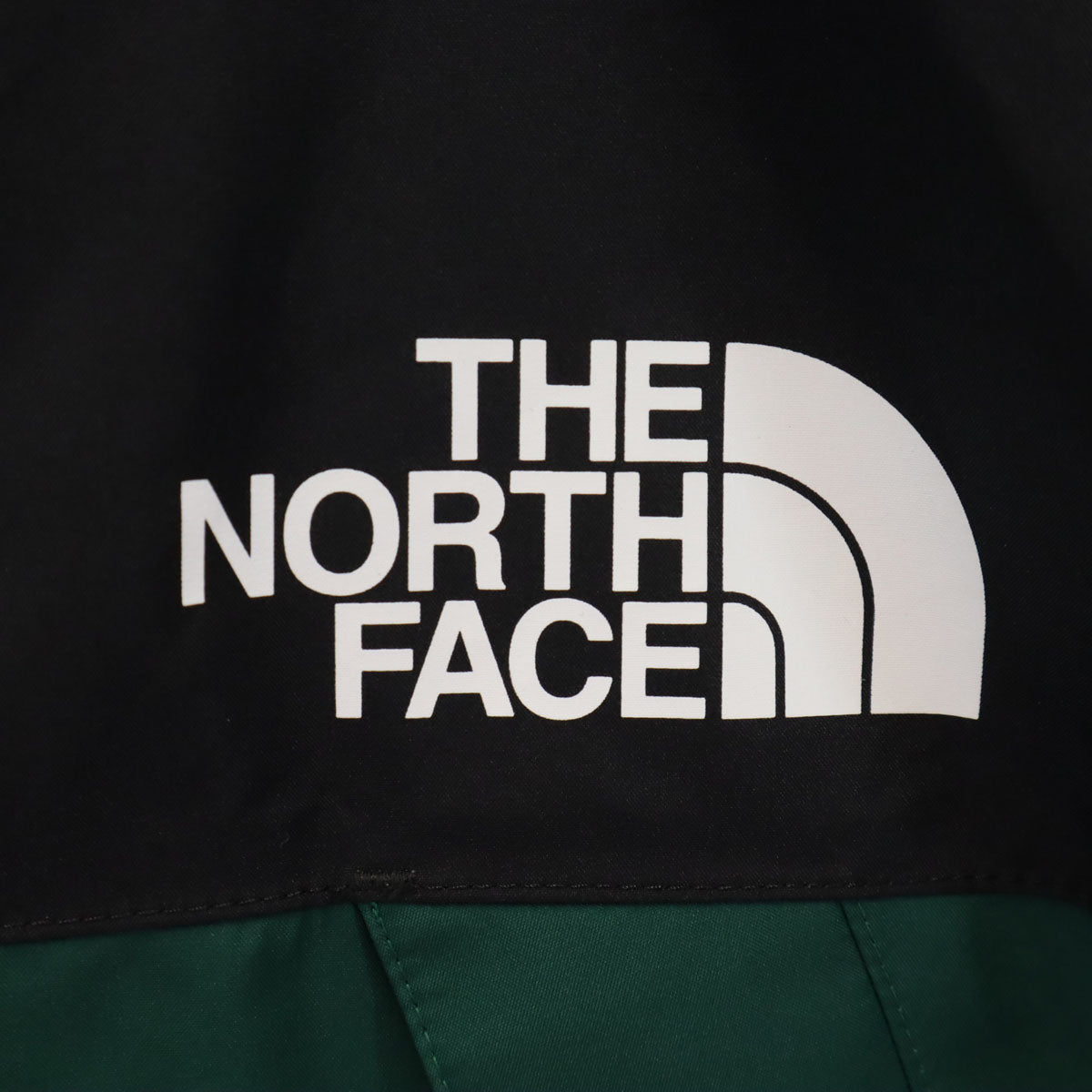 THE NORTH FACE Mountain Raintex Jacket Green NP11914 Size M