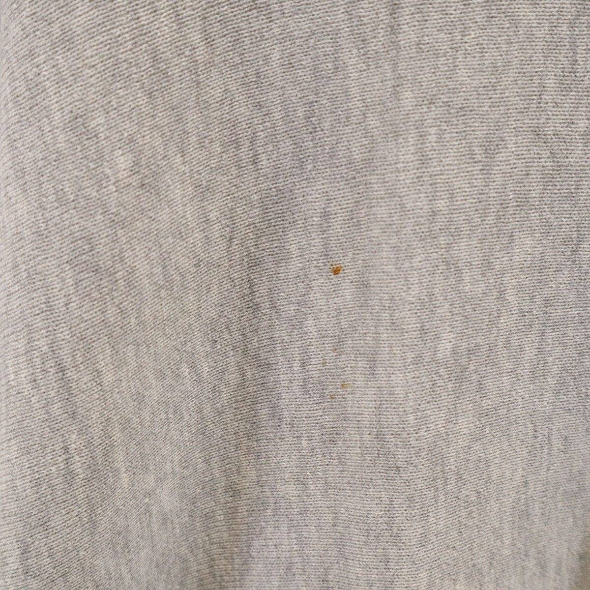 Champion 70s USA Vintage Reverse Sweatshirt Gray Size XL