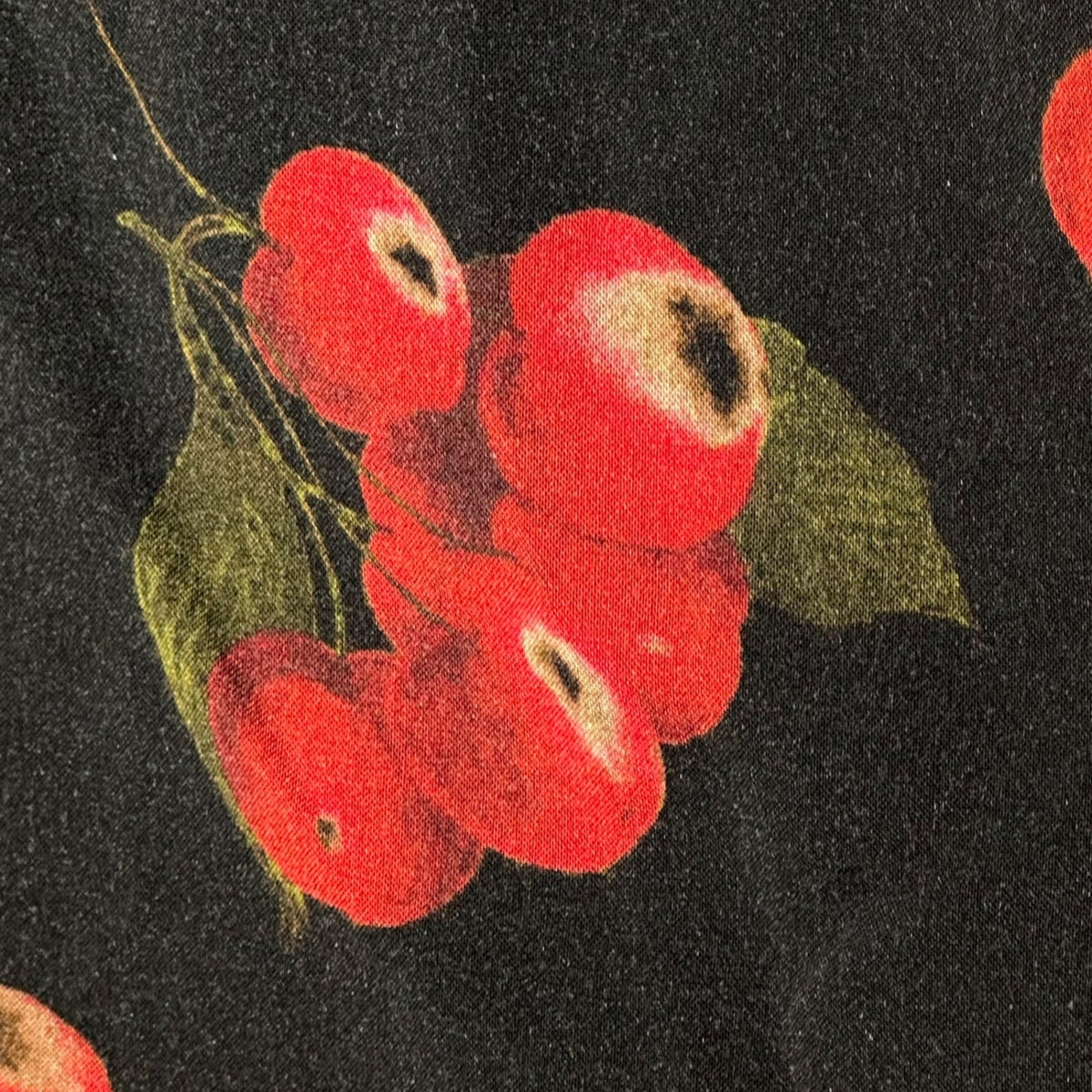 SUPREME 19SS Cherry Rayon Open Collar Long Sleeve Shirt Multi Size M