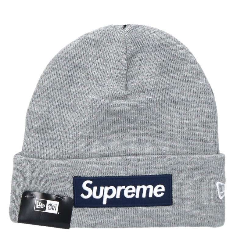 Supreme x AW New Era Box Logo Beanie 25AW Logo Beanie Gray Size ONE SIZE