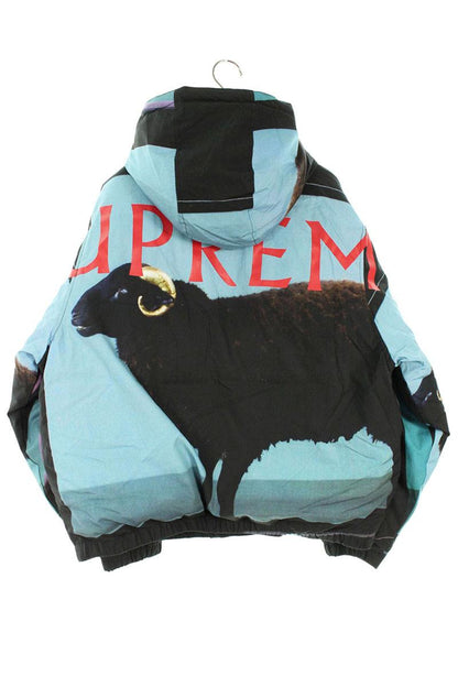Supreme 25SS Damien Hirst Down Puffer Jacket Black x Blue Size M