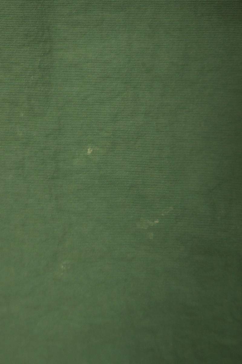 Bape Blouson Green Size M